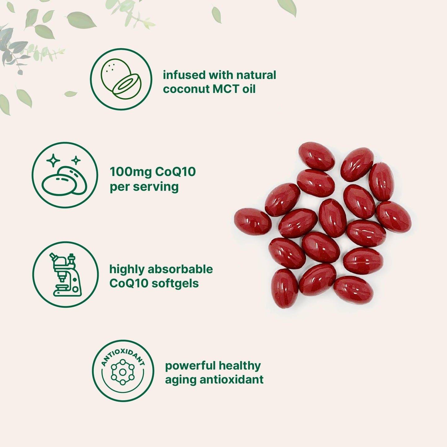 Micro Ingredients CoQ10 100mg Per Serving | 240 Softgels Made with Coconut MCT Oil | High Absorption Coenzyme Q10 as Ubiquinone | Antioxidant Support for Heart & Energy Health | Non-GMO